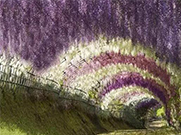 凈水31問(wèn) 值得你了解