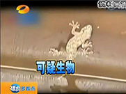 萬能的朋友圈，如果你能解釋通這組圖；凈水設(shè)備就可以不要了